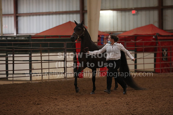 SilverBuckle20_FriAM_1787