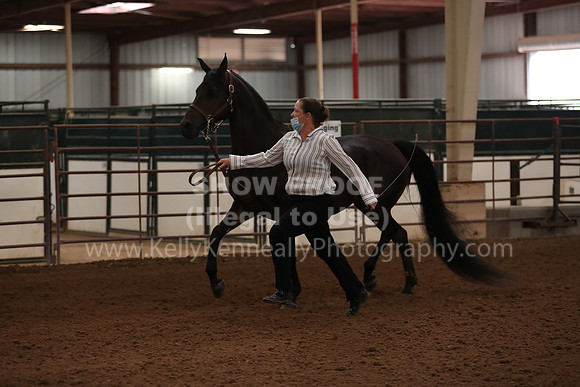 SilverBuckle20_FriAM_1789