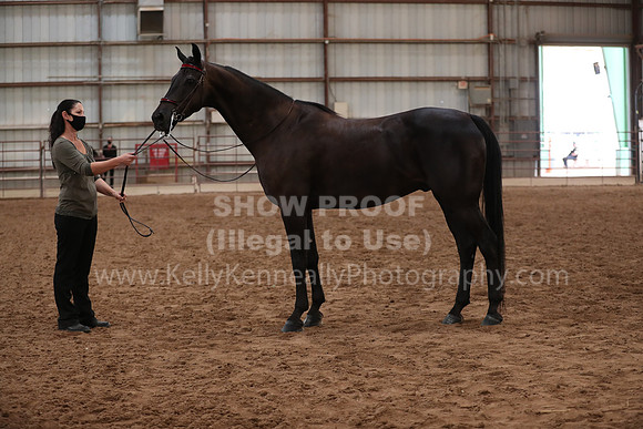 SilverBuckle20_FriAM_1976