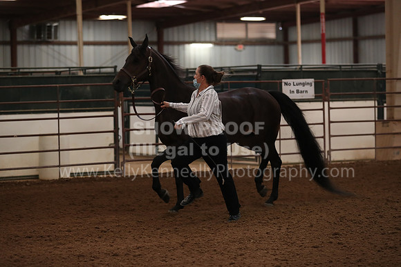 SilverBuckle20_FriAM_1792