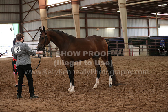 SilverBuckle20_FriAM_1979
