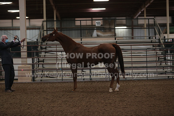 SilverBuckle20_FriAM_1796