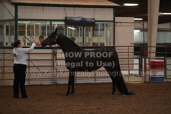 SilverBuckle20_FriAM_1798
