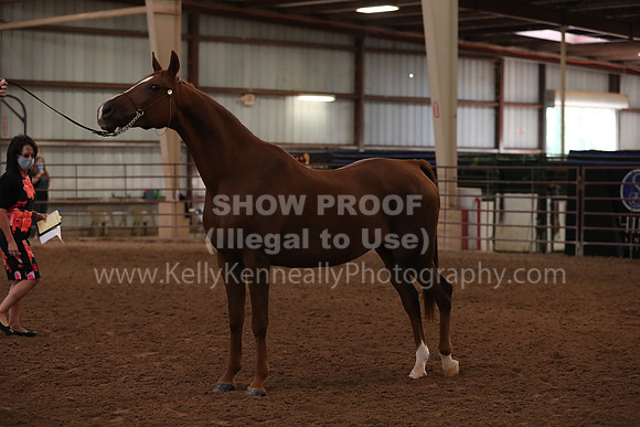 SilverBuckle20_FriAM_1801