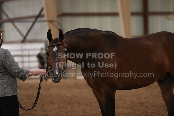 SilverBuckle20_FriAM_1981
