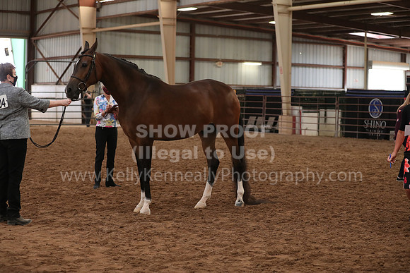 SilverBuckle20_FriAM_1982