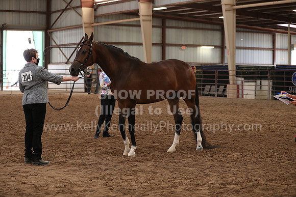 SilverBuckle20_FriAM_1983