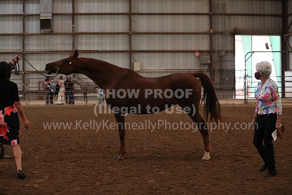 SilverBuckle20_FriAM_1802