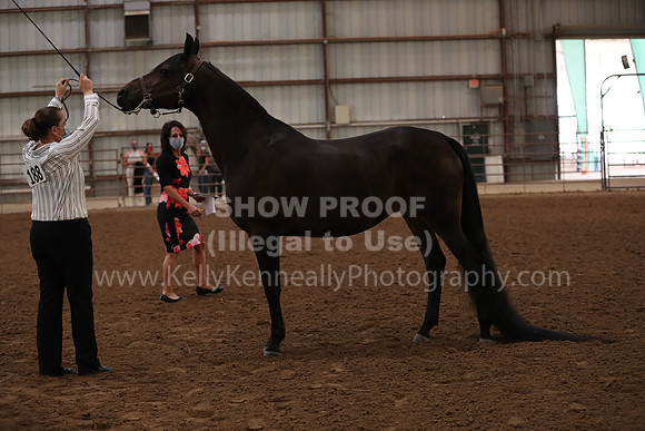 SilverBuckle20_FriAM_1807