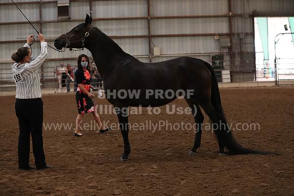SilverBuckle20_FriAM_1808