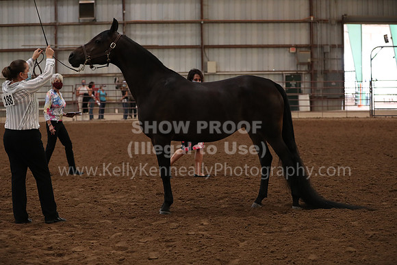 SilverBuckle20_FriAM_1809