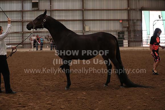 SilverBuckle20_FriAM_1810