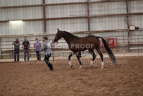SilverBuckle20_FriAM_1986