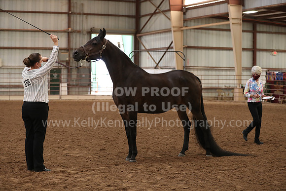 SilverBuckle20_FriAM_1811