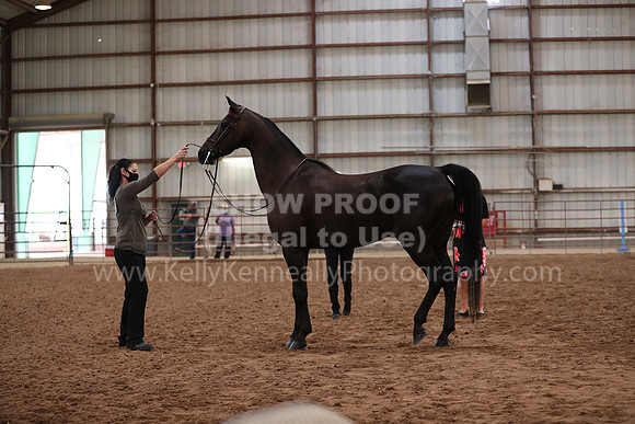 SilverBuckle20_FriAM_1997