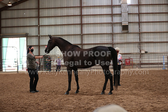 SilverBuckle20_FriAM_1998