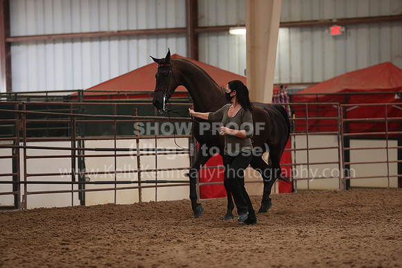 SilverBuckle20_FriAM_2000