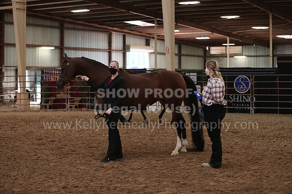 SilverBuckle20_FriAM_1891