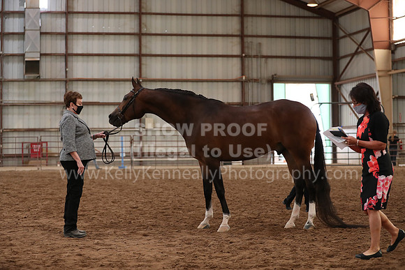 SilverBuckle20_FriAM_2002