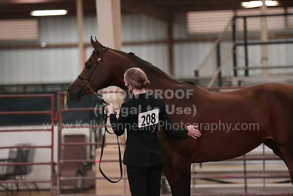 SilverBuckle20_FriAM_1867
