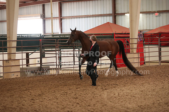 SilverBuckle20_FriAM_1864