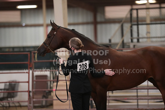 SilverBuckle20_FriAM_1868
