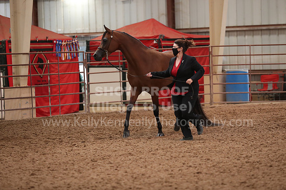 SilverBuckle20_FriAM_1872