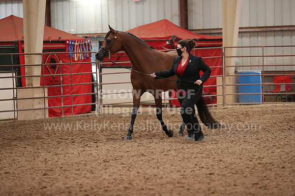 SilverBuckle20_FriAM_1873