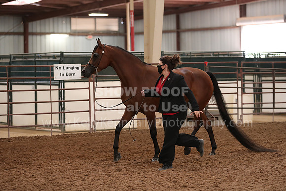 SilverBuckle20_FriAM_1874