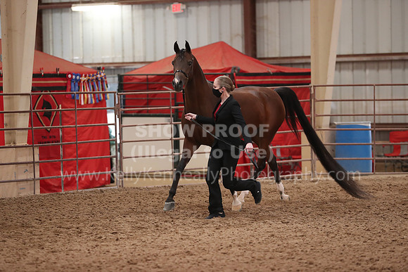 SilverBuckle20_FriAM_1876