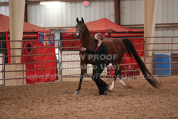 SilverBuckle20_FriAM_1877