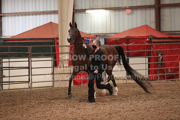 SilverBuckle20_FriAM_1878