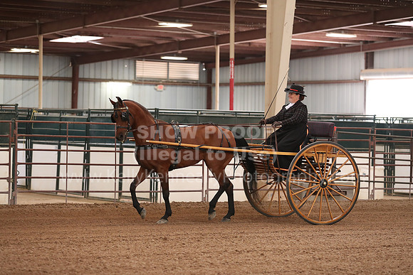 SilverBuckle20_FriPM_2010