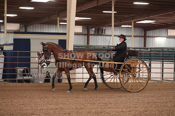 SilverBuckle20_FriPM_2011