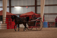 SilverBuckle20_FriPM_2012