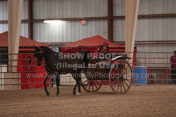 SilverBuckle20_FriPM_2012