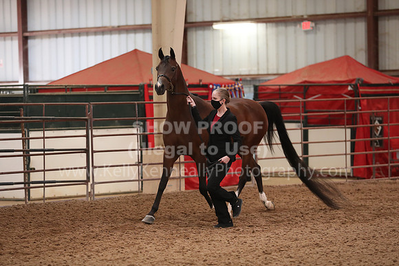 SilverBuckle20_FriAM_1879