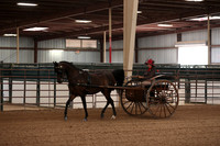 SilverBuckle20_FriPM_2014