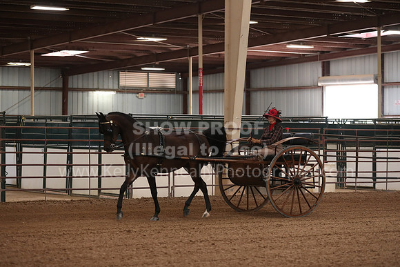 SilverBuckle20_FriPM_2014