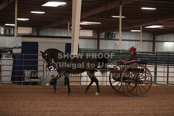 SilverBuckle20_FriPM_2015