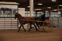 SilverBuckle20_FriPM_2016