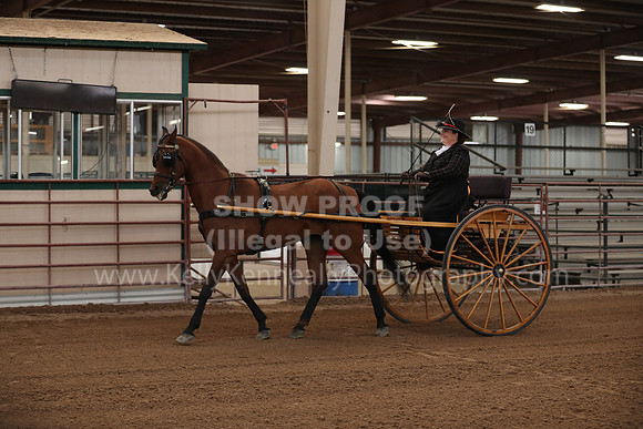 SilverBuckle20_FriPM_2016