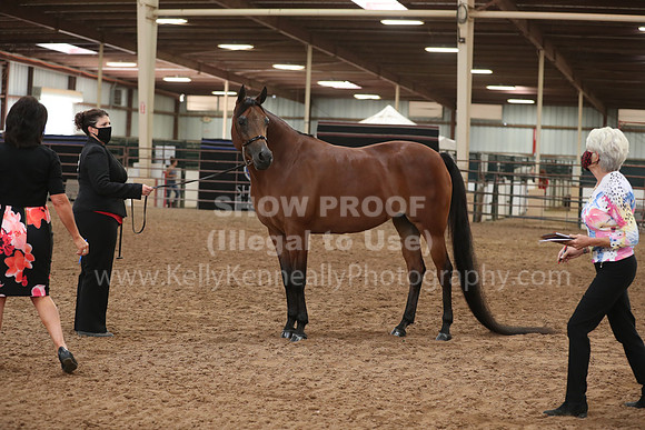 SilverBuckle20_FriAM_1884