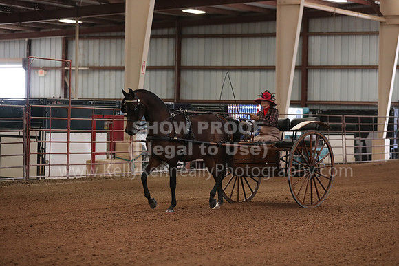 SilverBuckle20_FriPM_2018