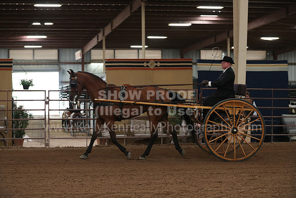 SilverBuckle20_FriPM_2047