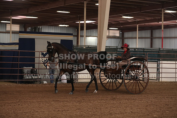 SilverBuckle20_FriPM_2048