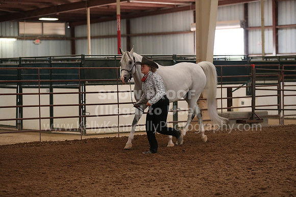SilverBuckle20_FriAM_1896