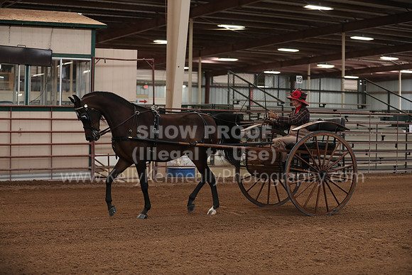 SilverBuckle20_FriPM_2019