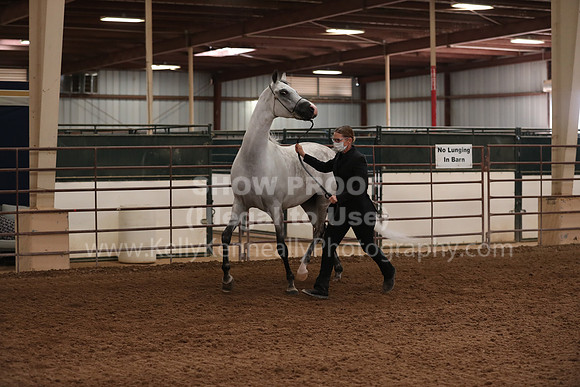 SilverBuckle20_FriAM_1898
