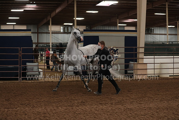 SilverBuckle20_FriAM_1899